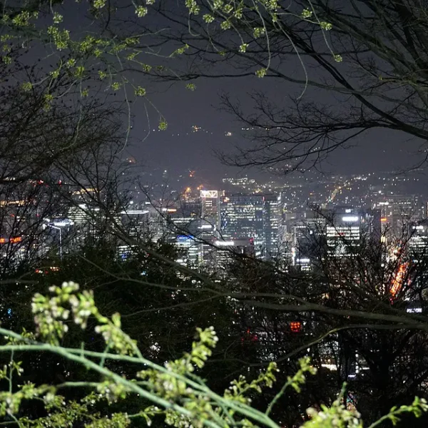 웰니스 태연릴렉스 마사지 안내 이미지