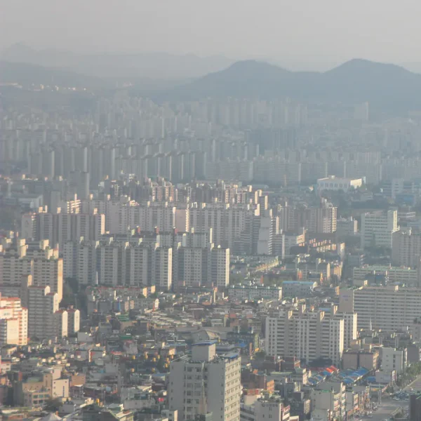 포레스트 혜리스튜디오 테라피 안내 이미지