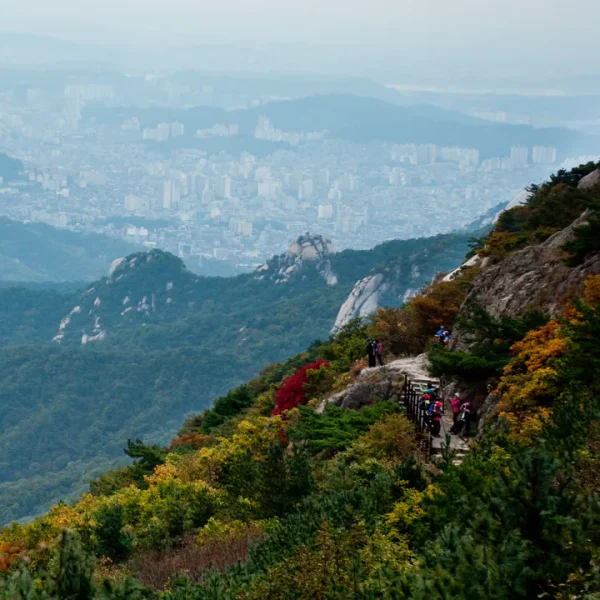 라운지 설현가든 테라피 안내 이미지